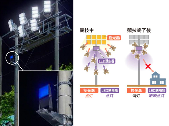 パナソニック、照明と虫の「よい関係」--ホタルの繁殖を手助け、殺虫