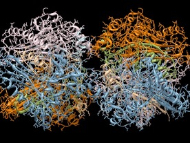 Alphabet傘下のDeepMind、ほぼすべてのタンパク質の立体構造をAIで予測