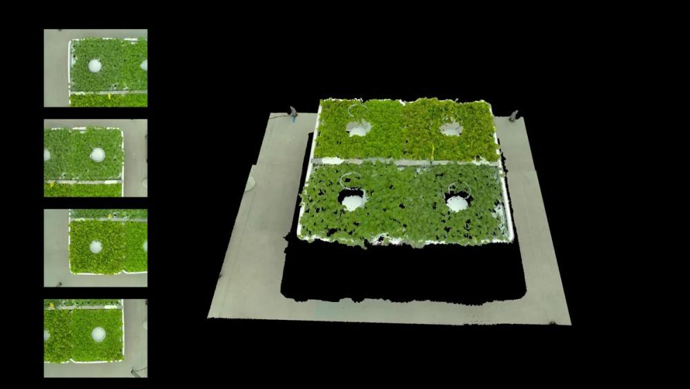 作物の3Dレンダリング画像