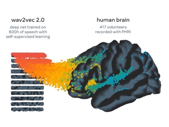 Meta、耳にした単語を脳波から推測するAIモデル開発--「考えただけで文章を作る」未来か