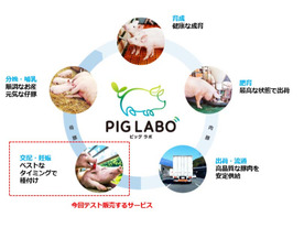 NTTデータら、豚のAI発情検知サービスをテスト販売--参画農場を募集