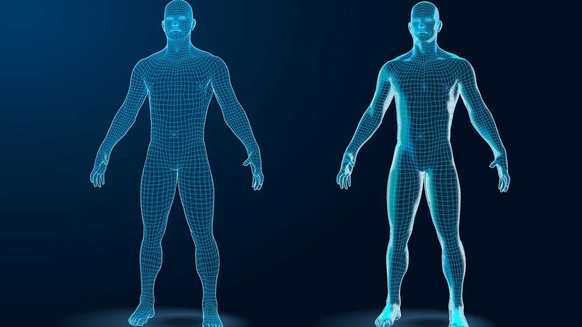 人体の3Dレンダリング画像