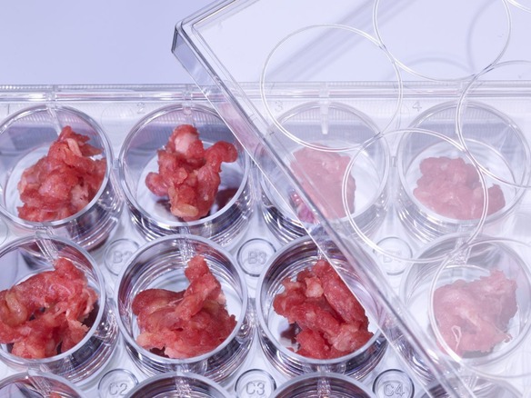 FDA、培養肉の安全性を初めて承認