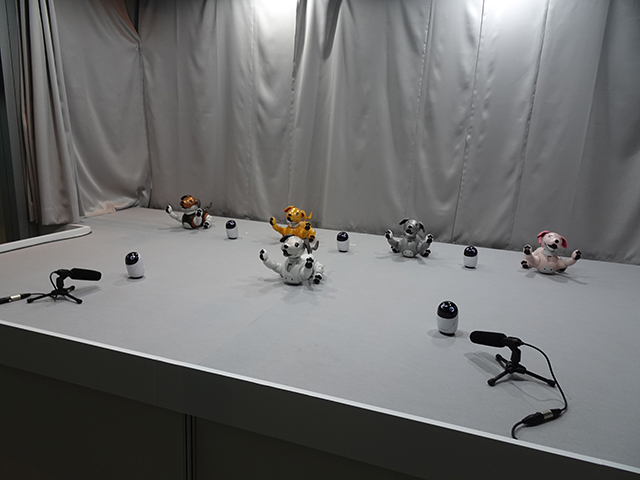 「自律型エンタテインメントロボット（aiboとpoiq）の協調」。複数のaiboとpoiqがそろってダンスを披露した