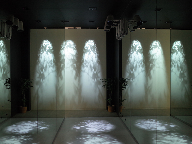 「バイオシャドー」の展示例。鏡を組み合わせることで予想以上の広がり感が得られる