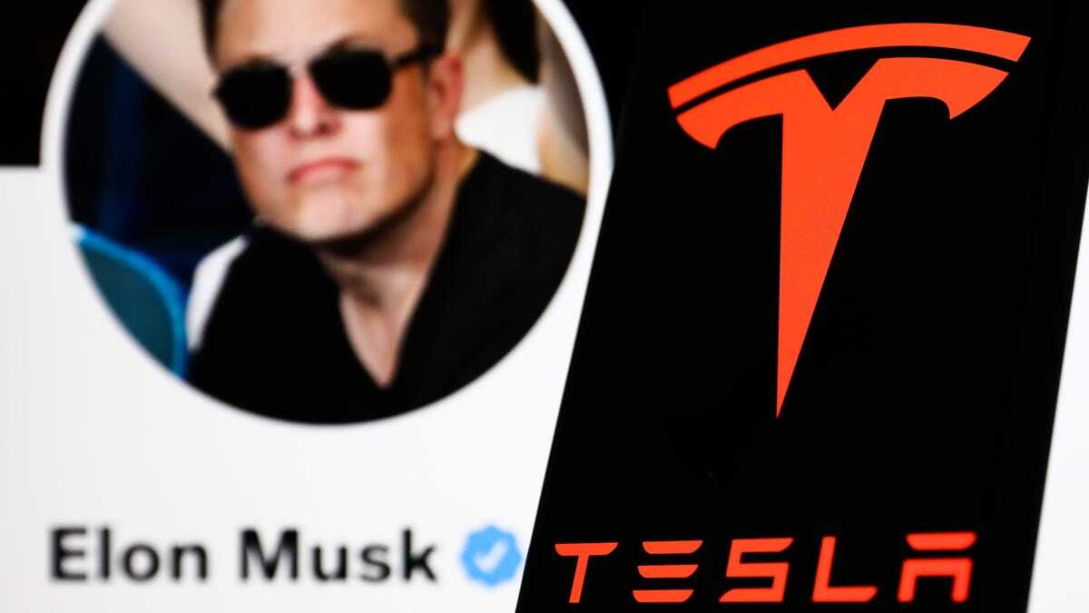 E・Musk氏のTwitterプロフィール写真とTeslaのロゴ