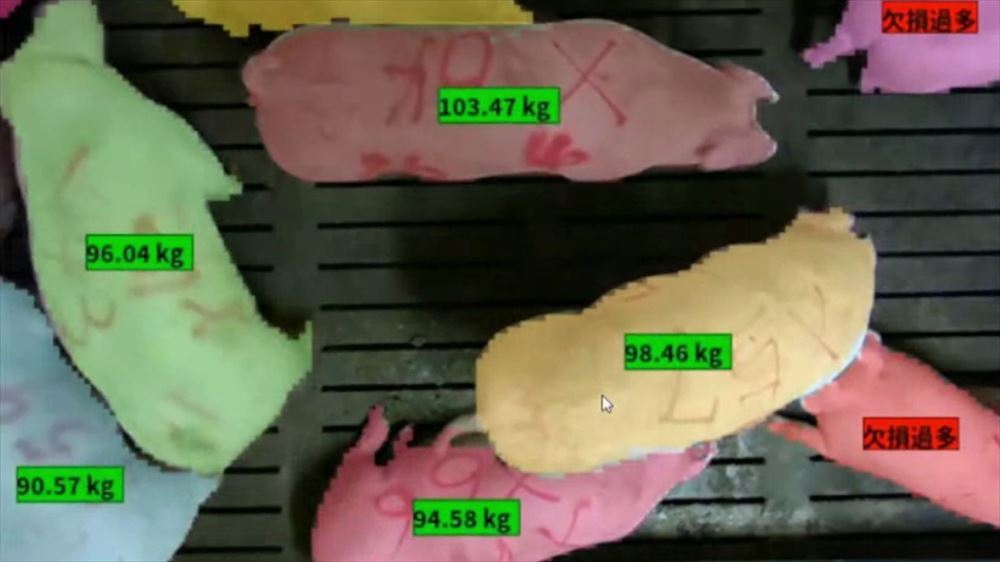 養豚経営管理ツール「Porker」の体重測定イメージ