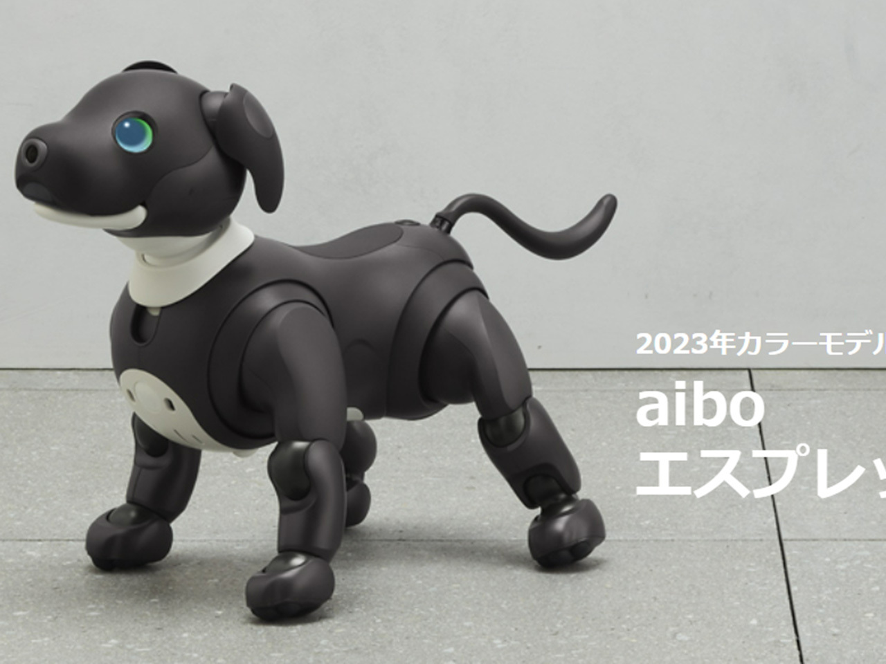 SONY aibo ERS−1000 犬型ロボット - その他