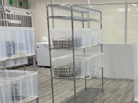 NTT東日本×グリラス、「食用コオロギのスマート飼育」の実証実験--NTT内に飼育施設も