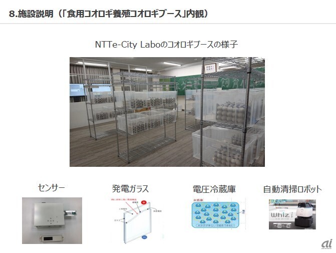 NTTe-City Labo（NTT中央研修センタ）内の食用コオロギ飼育施設