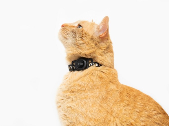 Tile、ネコの首に装着して居場所を追跡できる「Tile for Cats」を発売