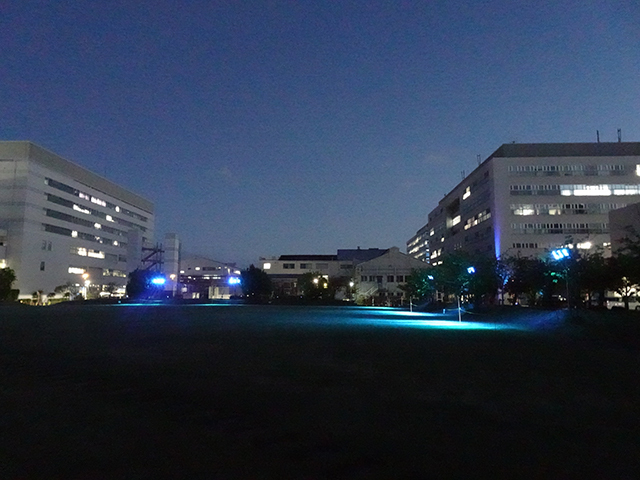 「YOI-en Field」の芝生広場