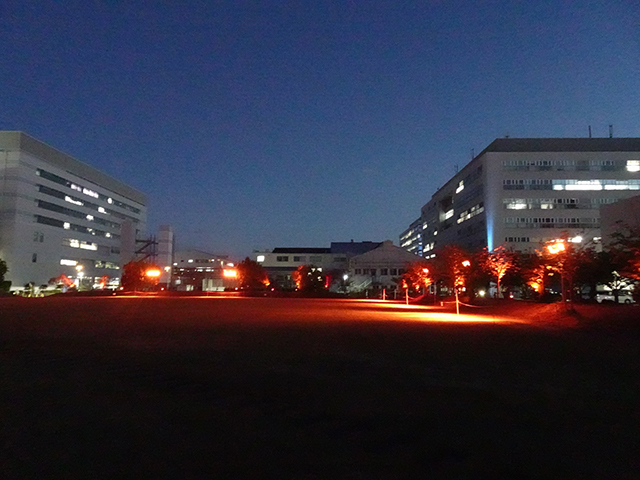 芝生広場の演出。芝生はもちろん、周囲にある樹木や建物までライトアップすることで、視界全体に光が広がり、没入感が得られる