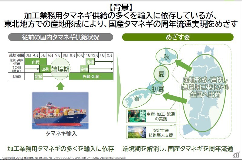 加工用のタマネギ供給の多くを輸入に依存しているが、国産タマネギの周年流通実現を目指す