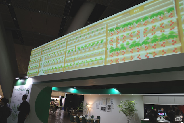 　共同農園のイメージ。ラディッシュなどが栽培されている。
