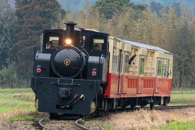【小湊鉄道「房総里山トロッコ」】
　千葉県の房総半島で鉄道路線を運営している小湊鉄道では、トロッコ列車「房総里山トロッコ」を運行している。客車4両のうち、中間の2両は窓がなく、開放的な旅が体験できる。

　先頭部の機関車は、見た目は蒸気機関車だが、中身はエンジンを搭載したディーゼル機関車だ。石炭を燃やすことなく、クリーンディーゼルエンジンで走るため、環境面に配慮されている。一方で、煙突や側面から煙を出す演出も可能で、SLらしさも再現している。