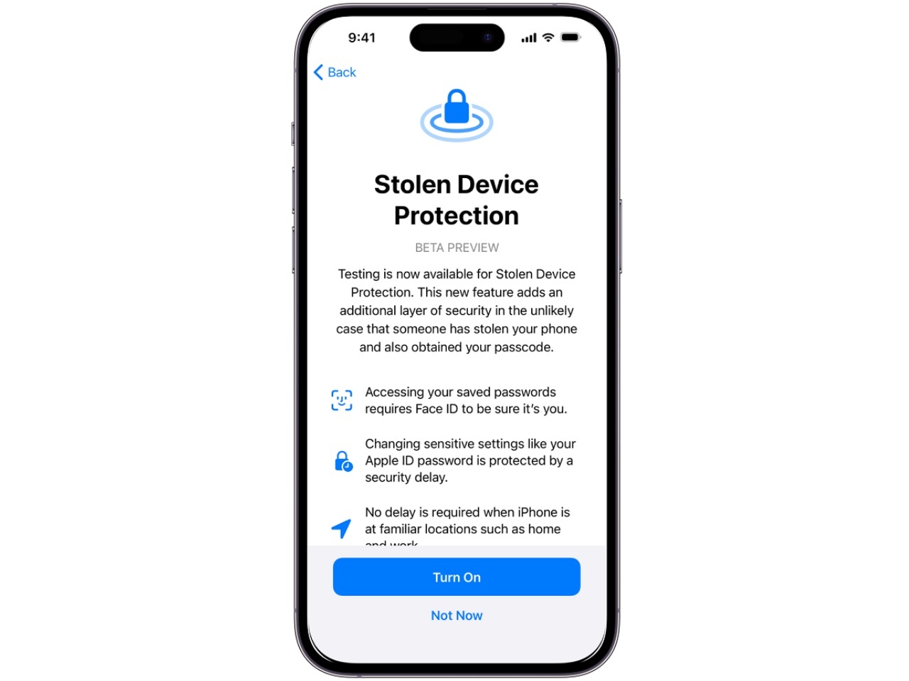 Stolen Device Protection機能の画面