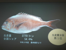 “おいしい魚”の定義を明確化--ソフトバンクと愛媛県ら、マダイの品質規格標準化へ