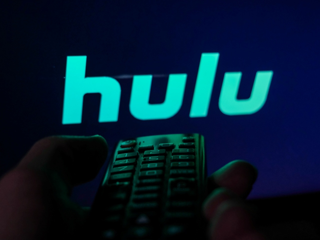 huluのロゴを表示したテレビ