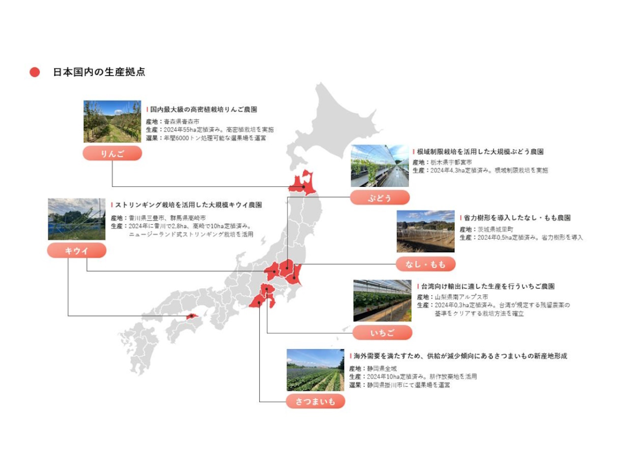 りんご輸出を手がける日本農業、42億円の資金調達--農産業のV字回復目指し海外の販路開拓も - CNET Japan