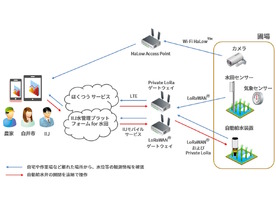 IIJ、千葉県でスマート農業実証実験--稲作にIoTデバイスと無線技術を活用