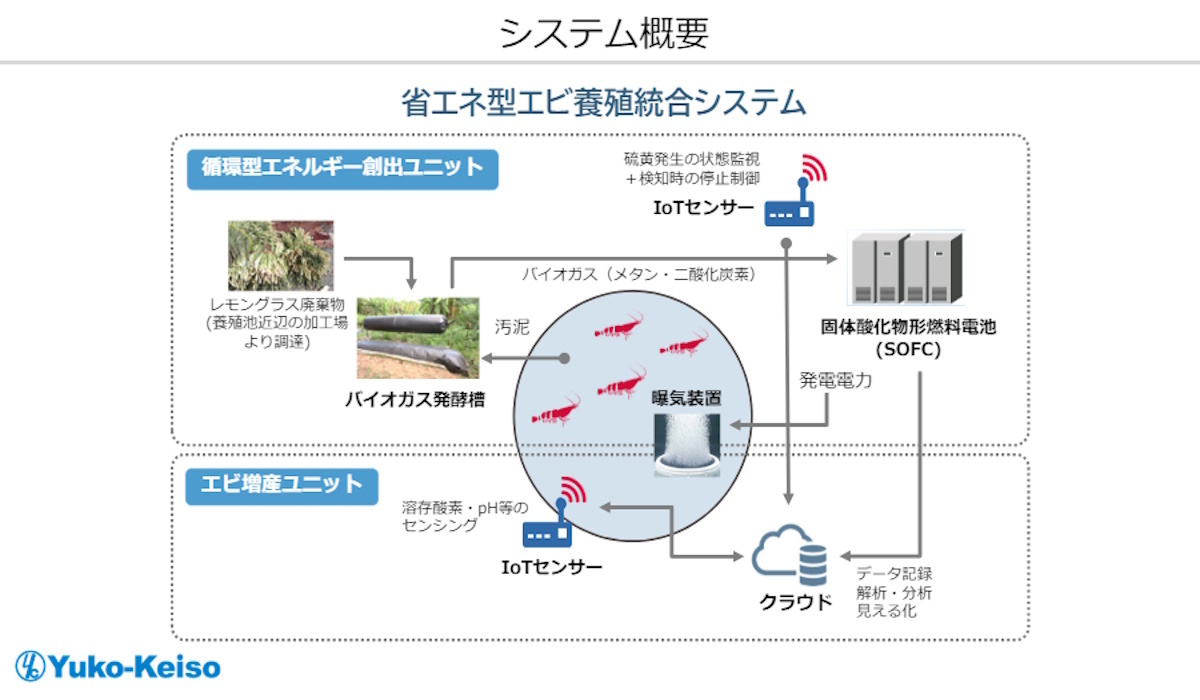 省エネ型エビ養殖統合システム