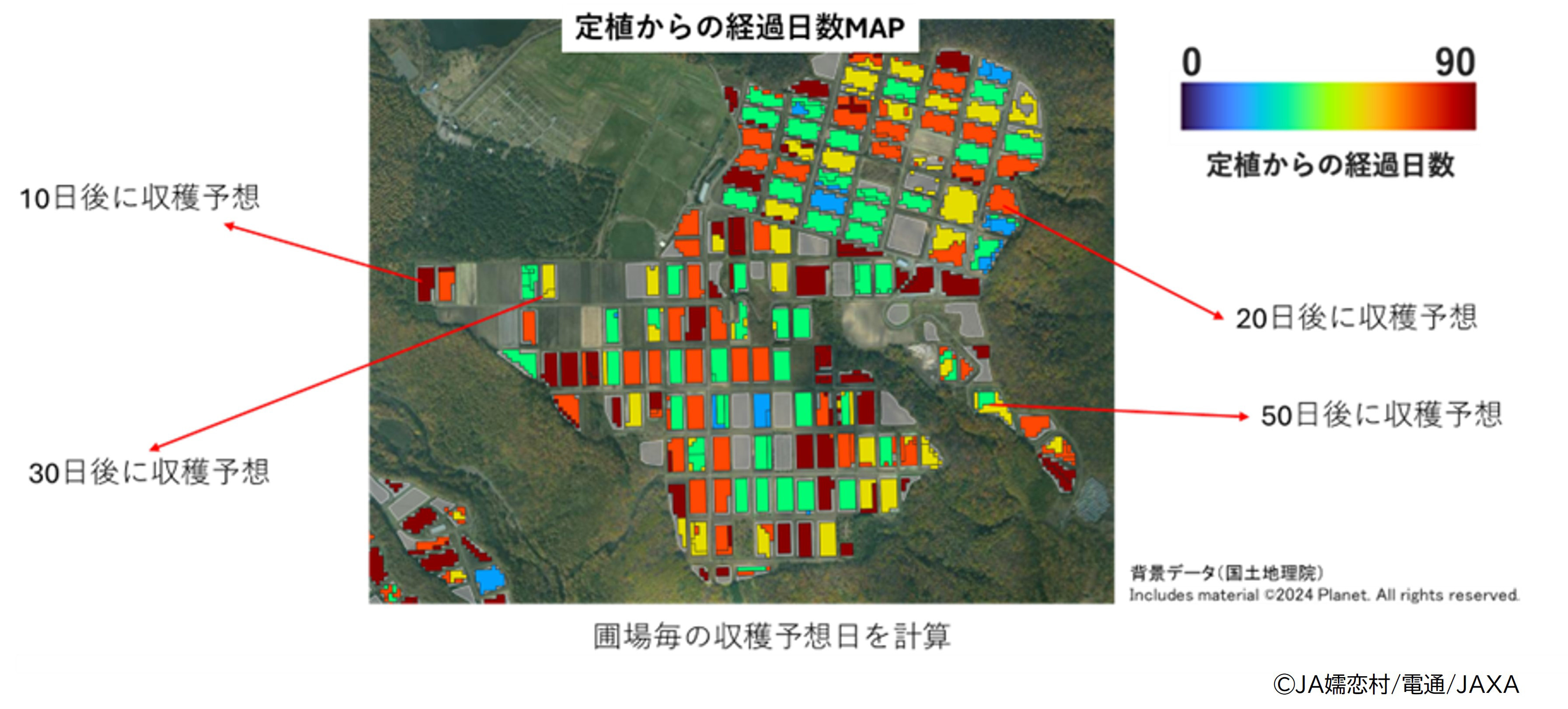 2023年度の衛星データ解析と現地調査による収穫予測例