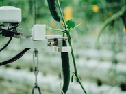 きゅうり収穫ロボットのAGRIST、シリーズBラウンドで資金調達を実施–AI活用で農業の課題解決