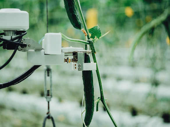 きゅうり収穫ロボットのAGRIST、シリーズBラウンドで資金調達を実施--AI活用で農業の課題解決