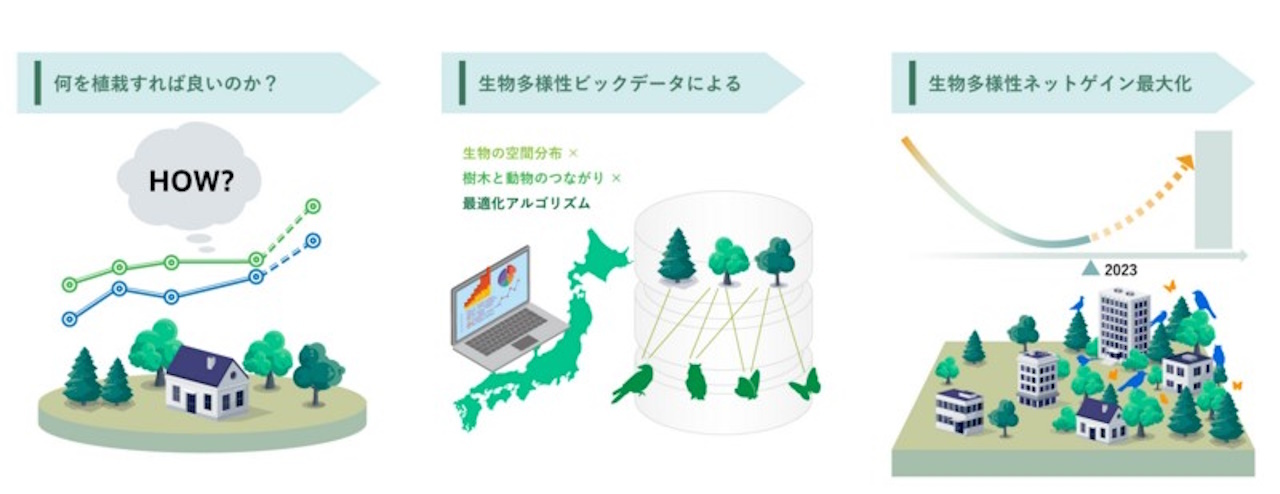 建築地に合わせ、生物多様性にとって最適な樹種の組み合わせを抽出