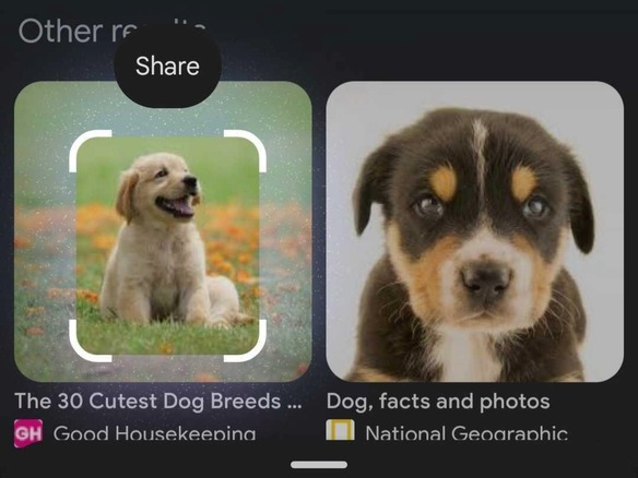 グーグルの「かこって検索」、かこったものを共有可能に