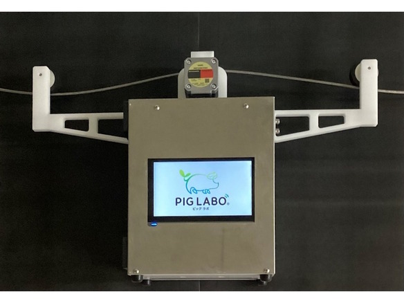 日本ハム、豚の体重をAIで推定する新製品をテスト販売--飼育者の負担軽減へ