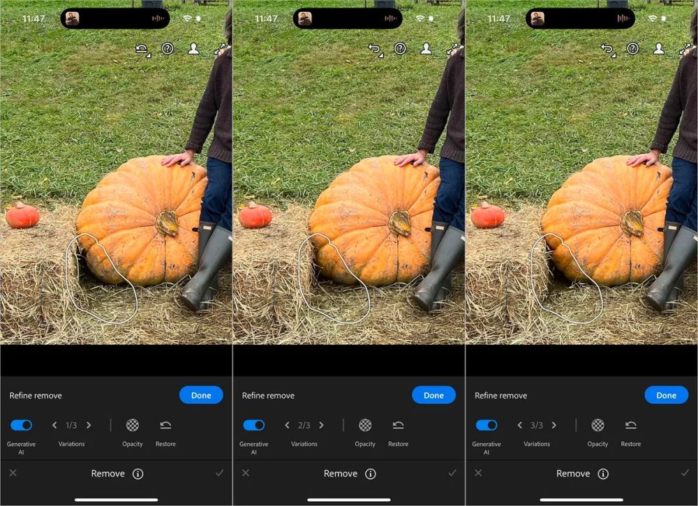 Adobe Lightroomに表示された3つの候補