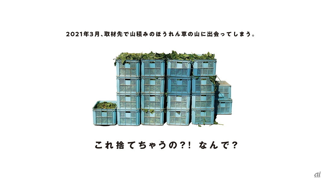 岡本さんが出会った廃棄するほうれん草の山