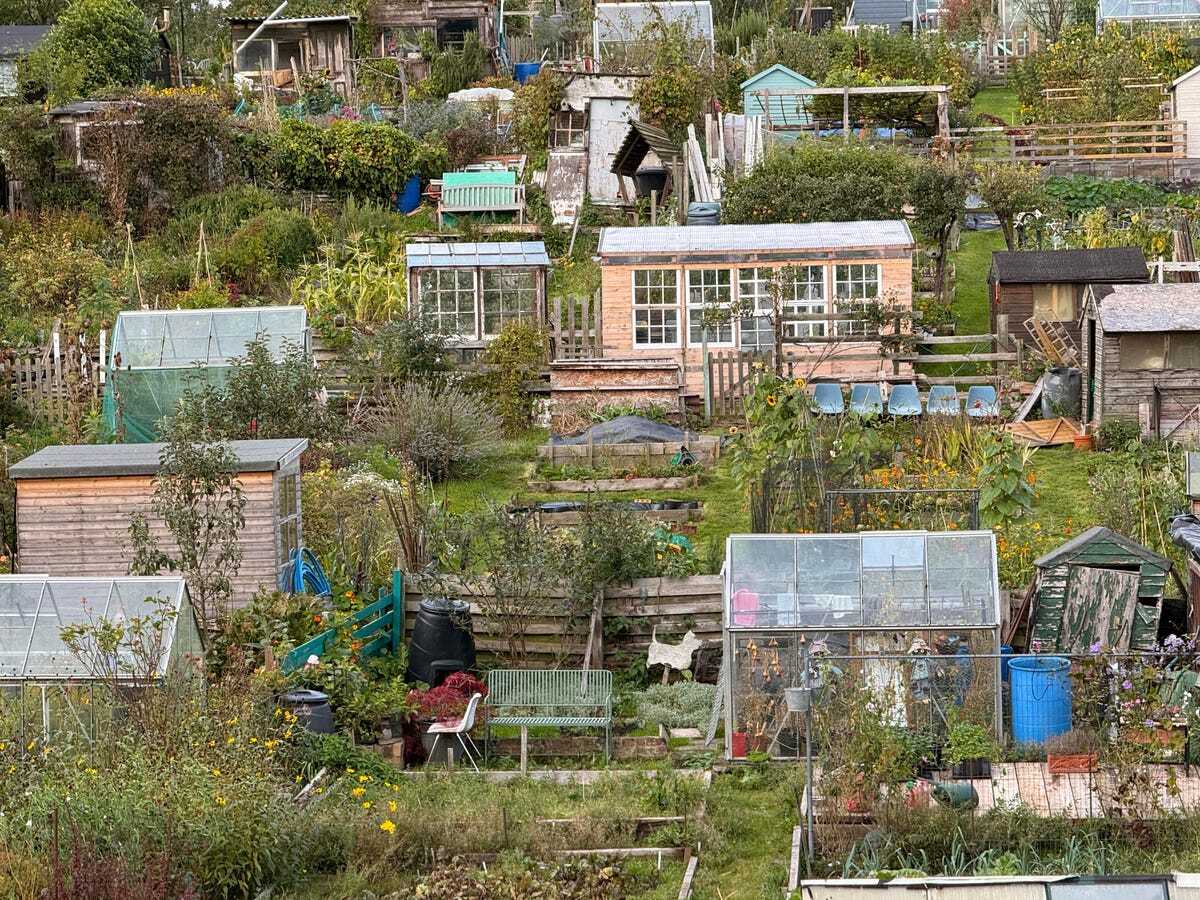 家や木々のある景色の写真