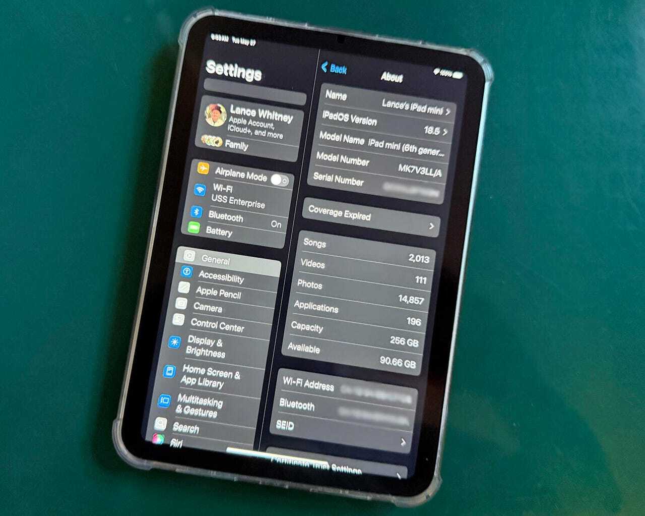 iPad miniの設定画面