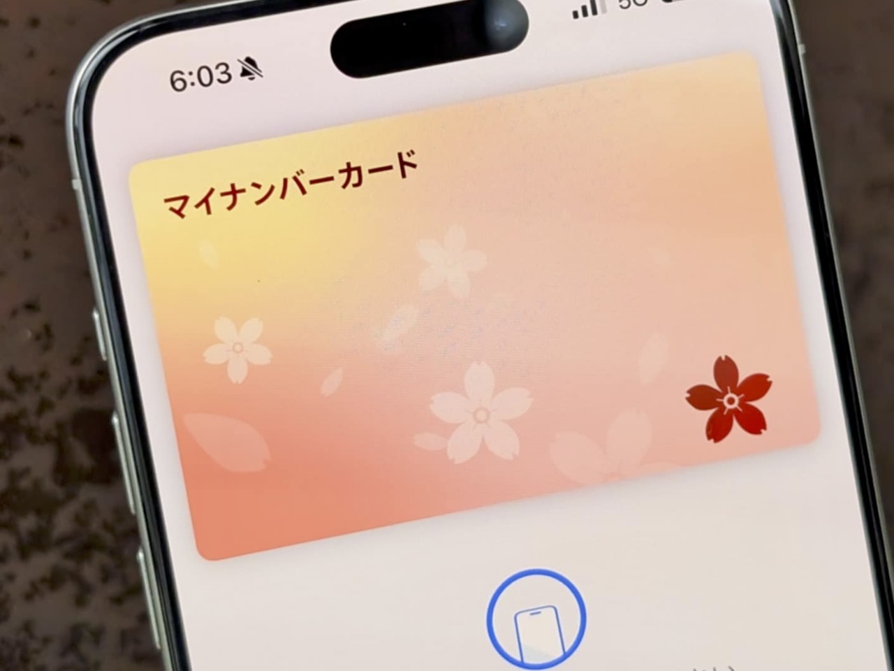 iPhoneを傾けるとホログラムのように桜が追加で出現