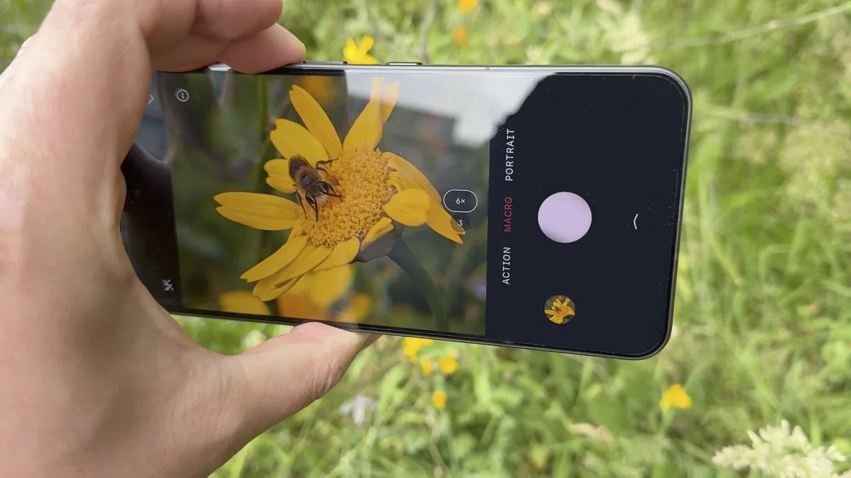 Nothing Phone 3のマクロモードで実際に撮影してみる。 撮影：Andrew Lanxon（CNET）