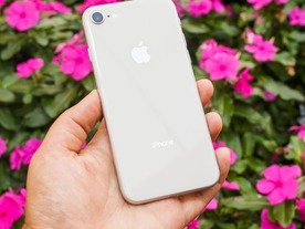 「iPhone 8 Plus」の部品コスト、過去最高の288ドルと試算